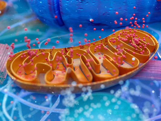 Energie-Booster-Infusionen